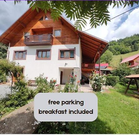 Pensiunea Piatra Mandrutului Scarisoara  Exterior foto