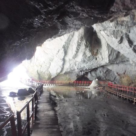 Pensiunea Piatra Mandrutului Scarisoara  Exterior foto