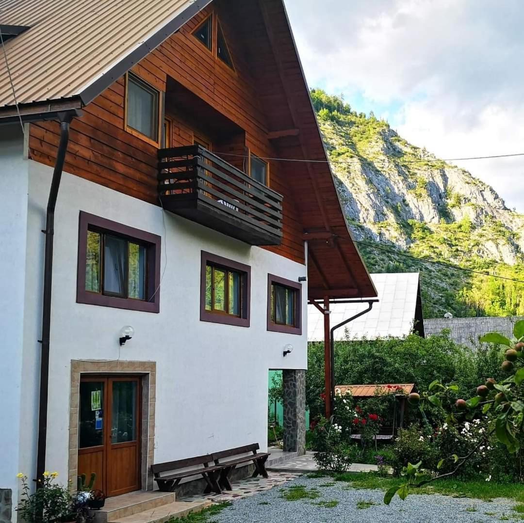 Pensiunea Piatra Mandrutului Scarisoara  Exterior foto
