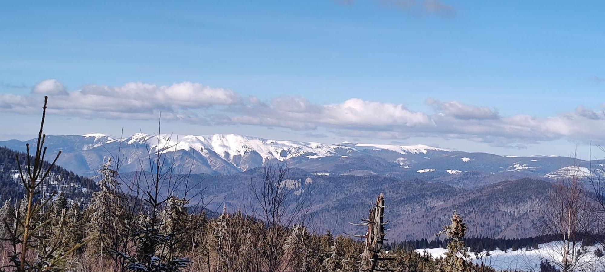 Pensiunea Piatra Mandrutului Scarisoara  Exterior foto
