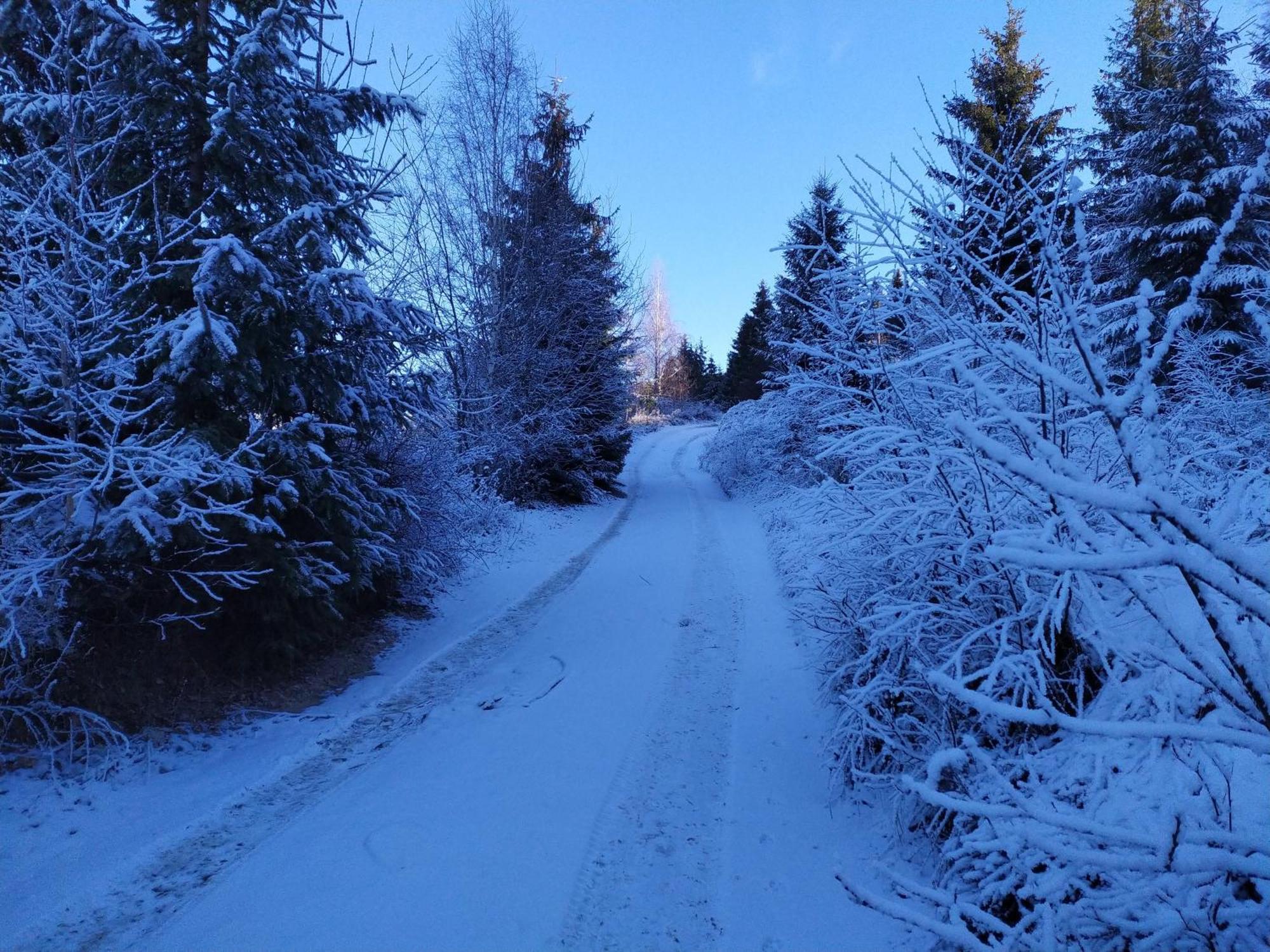 Pensiunea Piatra Mandrutului Scarisoara  Exterior foto