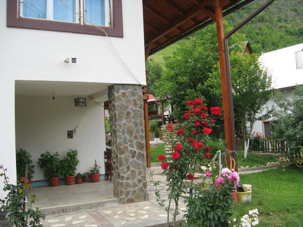 Pensiunea Piatra Mandrutului Scarisoara  Exterior foto