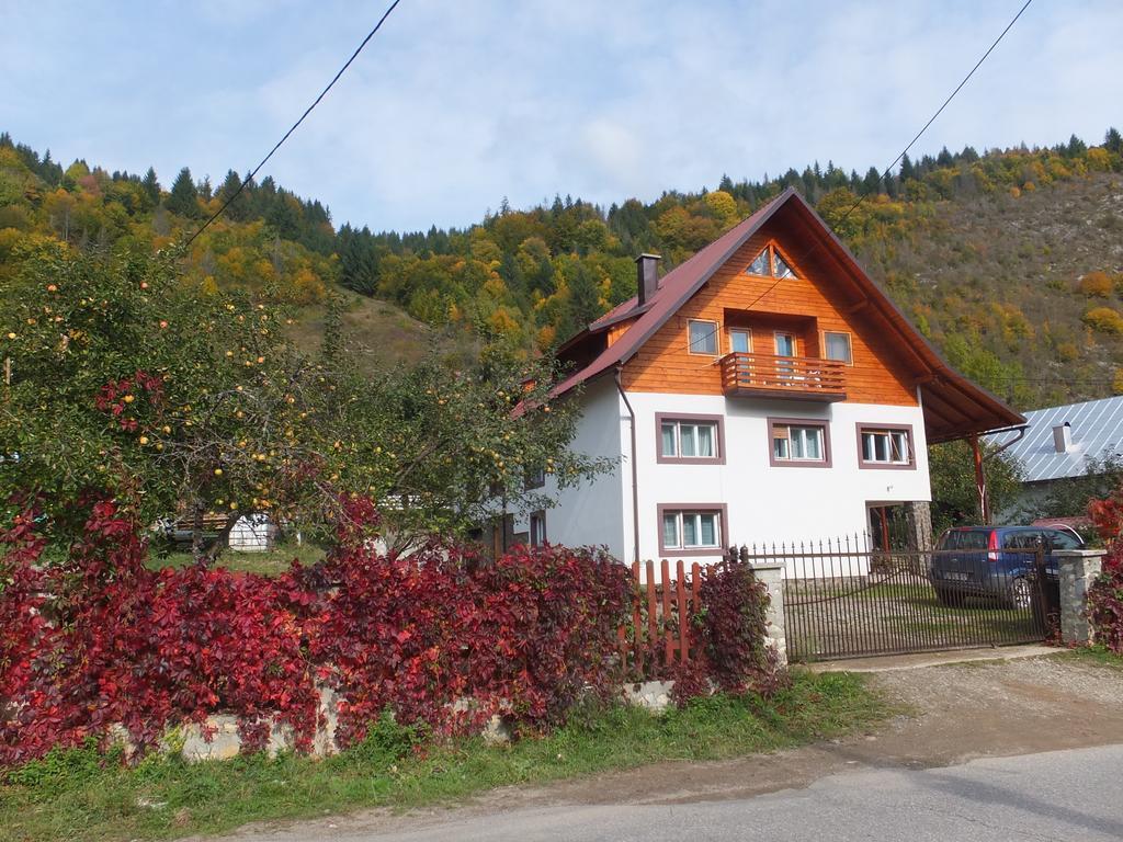 Pensiunea Piatra Mandrutului Scarisoara  Exterior foto
