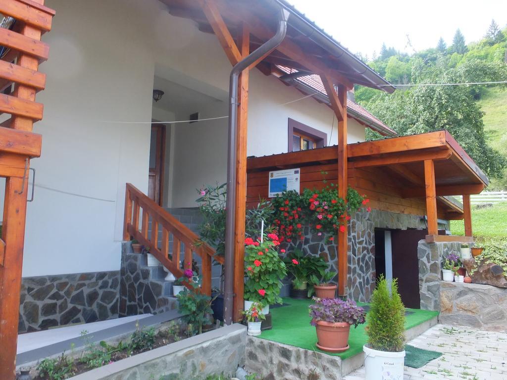Pensiunea Piatra Mandrutului Scarisoara  Exterior foto