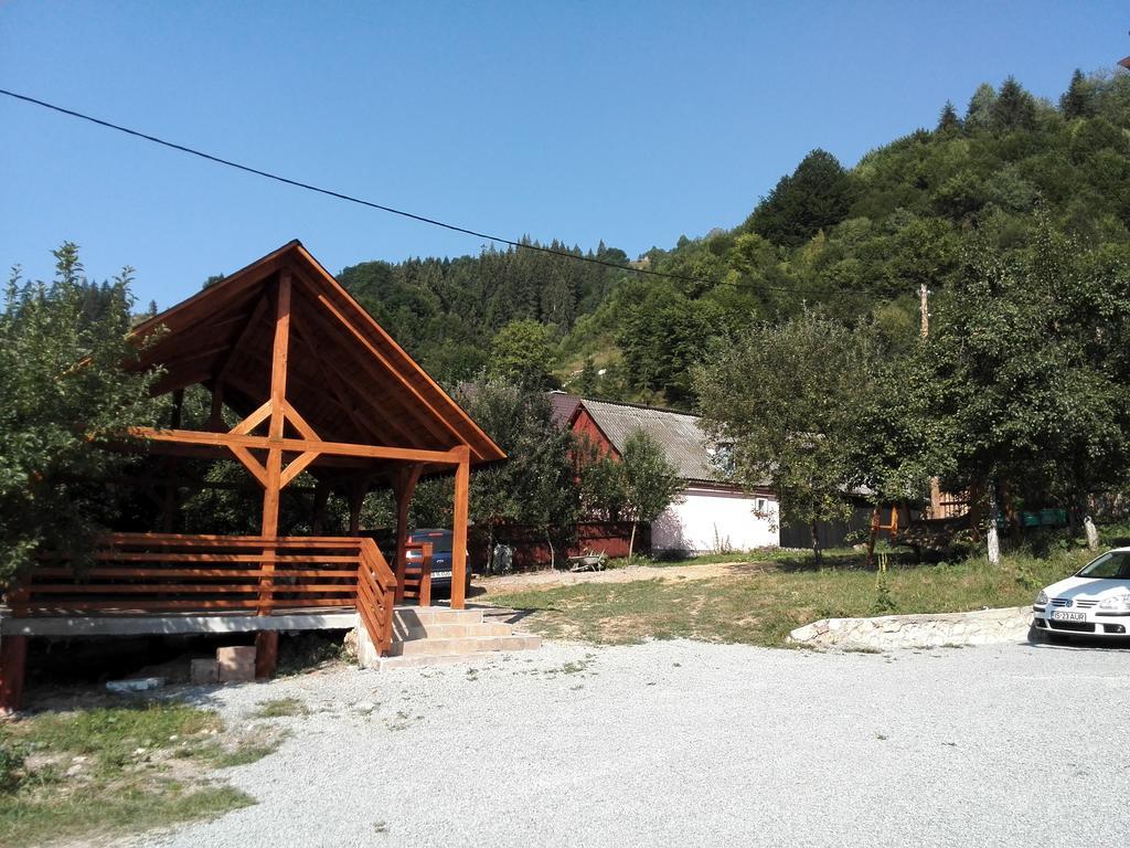 Pensiunea Piatra Mandrutului Scarisoara  Exterior foto