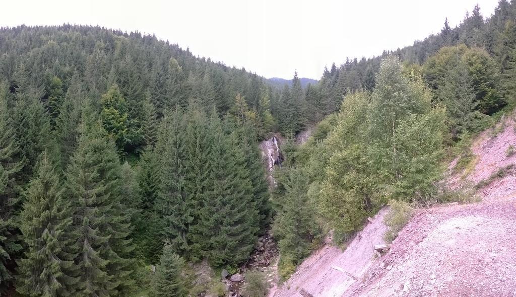 Pensiunea Piatra Mandrutului Scarisoara  Exterior foto