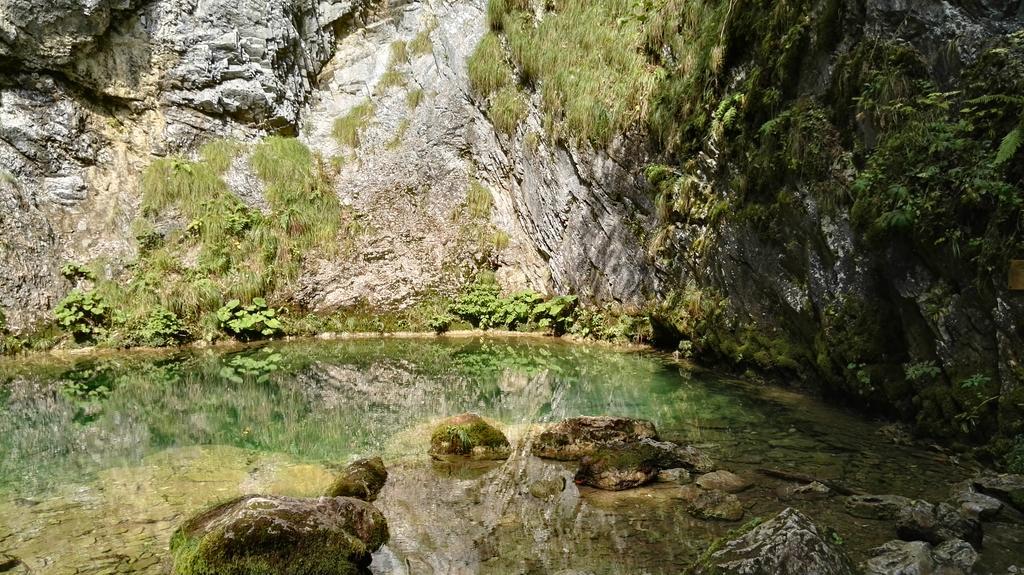 Pensiunea Piatra Mandrutului Scarisoara  Exterior foto