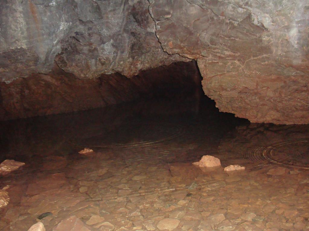 Pensiunea Piatra Mandrutului Scarisoara  Exterior foto