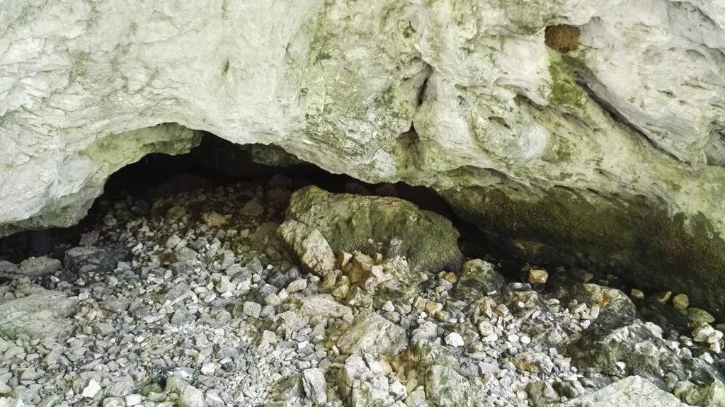 Pensiunea Piatra Mandrutului Scarisoara  Exterior foto